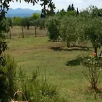 Kır Evi Miranda *