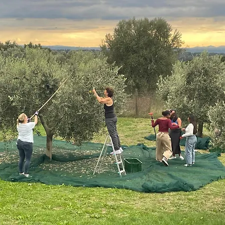 Miranda Séjour à la campagne