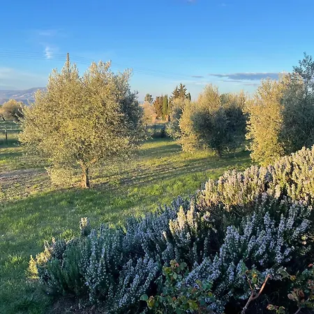 Miranda Kır Evi *